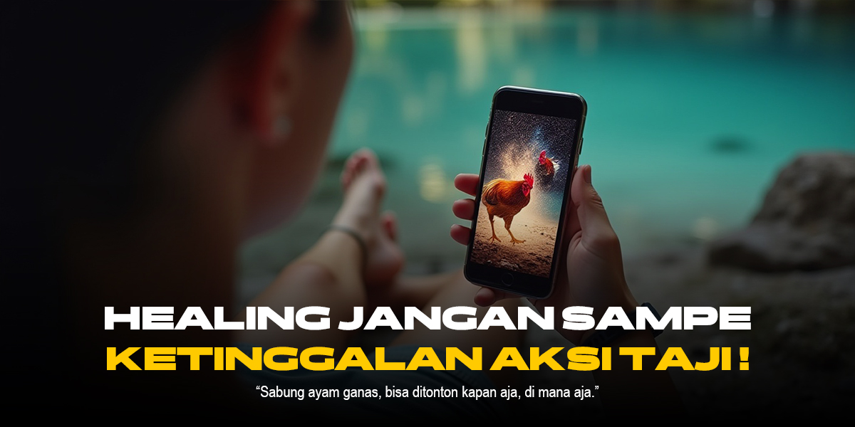 Mengenal Jenis Ayam Aduan Terbaik di SV388 Sabung Ayam
